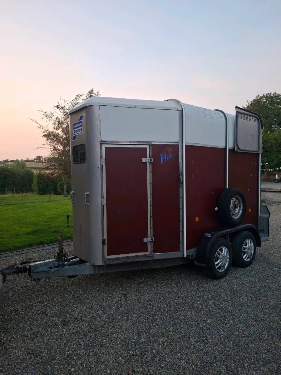 Ifor Williams 505 Double Horsebox - Image 4