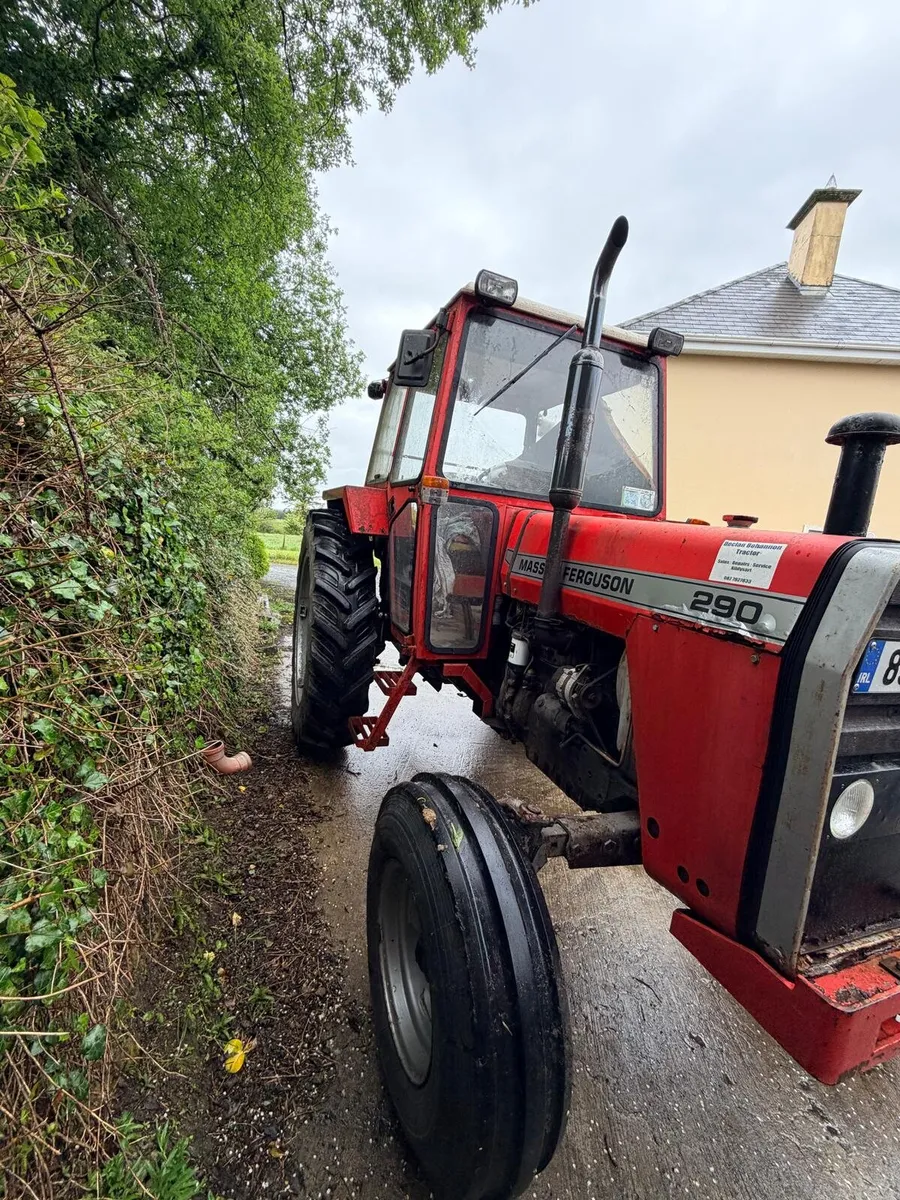 MF 290  2wd - Image 3