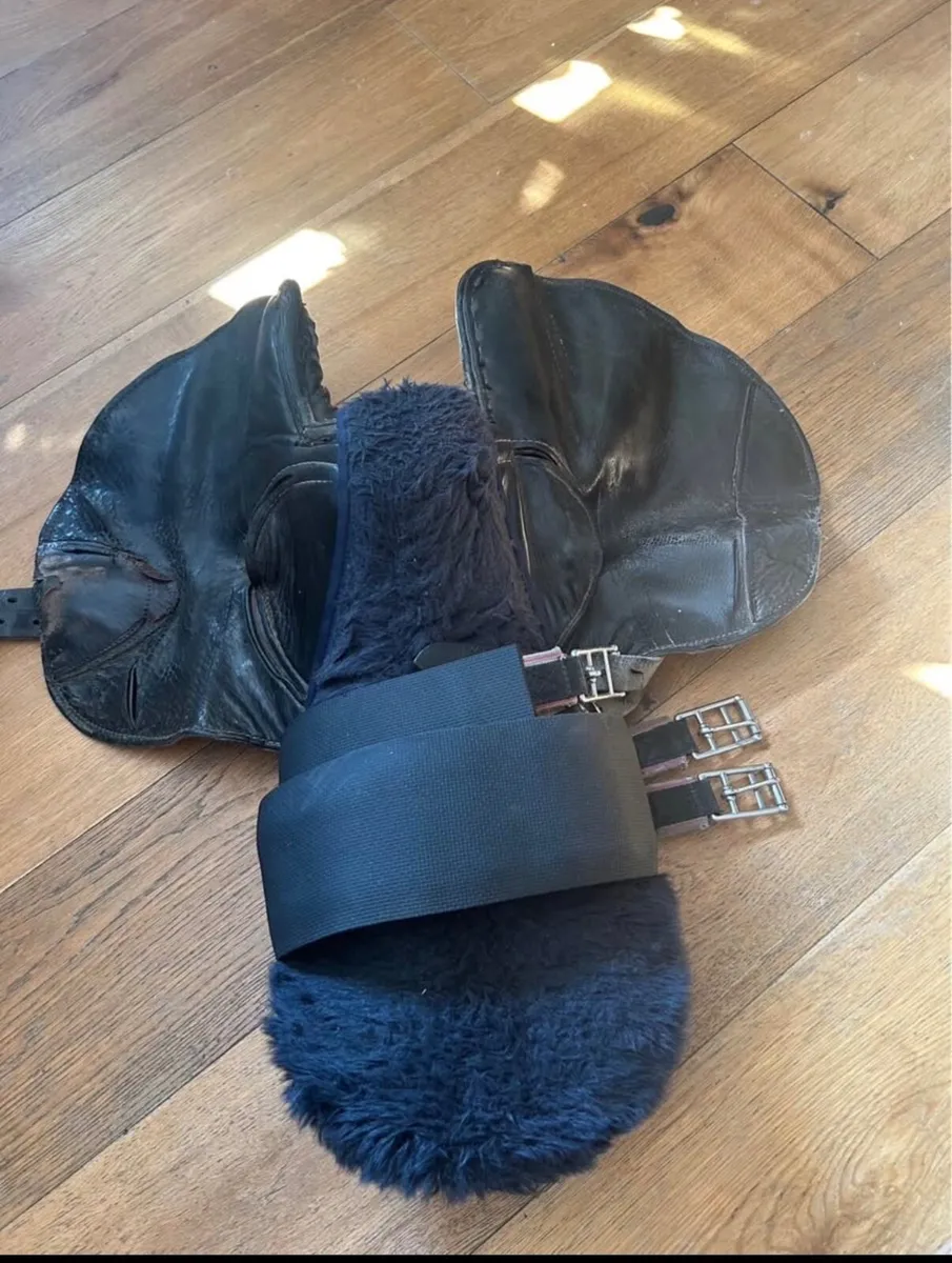 Exercise Racing Saddle - Image 1