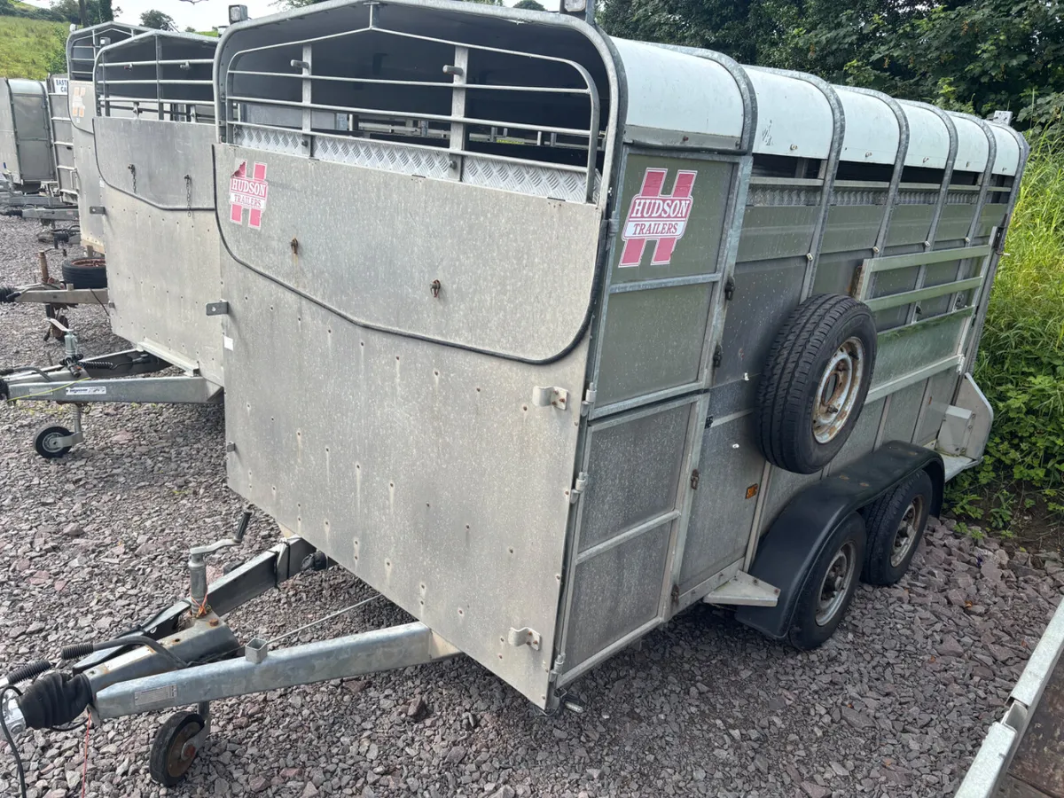 Hudson 12ft x 6ft cattle sheep trailer - Image 2