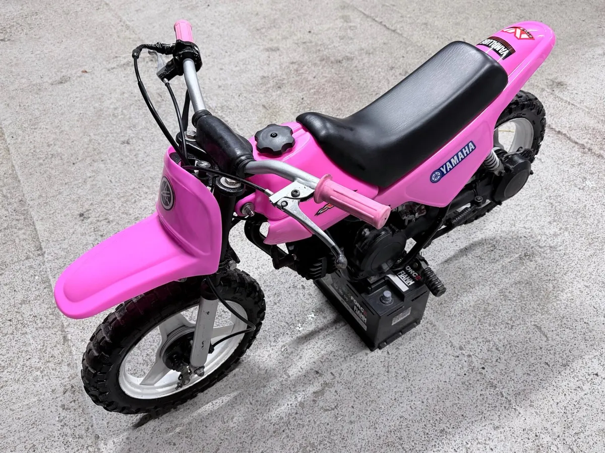 Pw50/Py50 pink & blue - Image 2