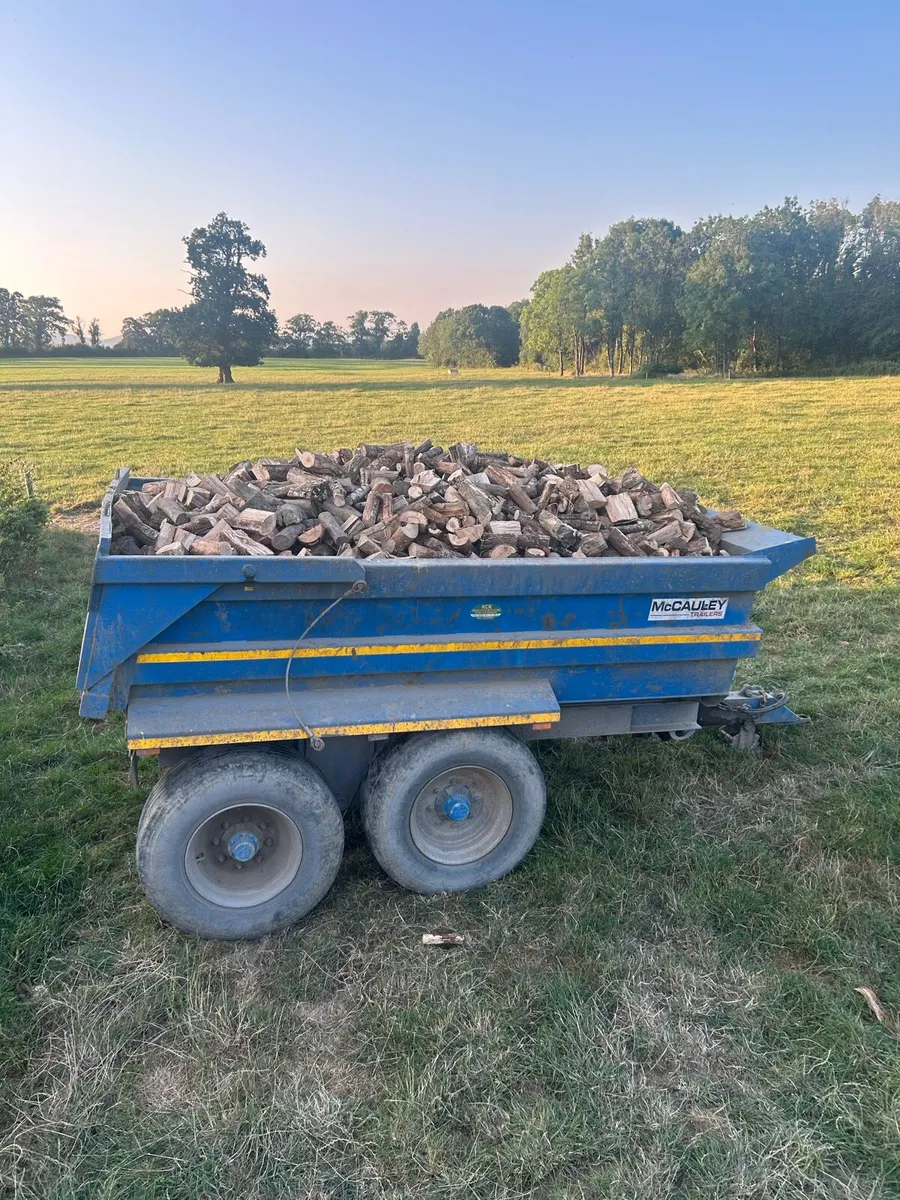 Firewood (hardwood) - Image 1