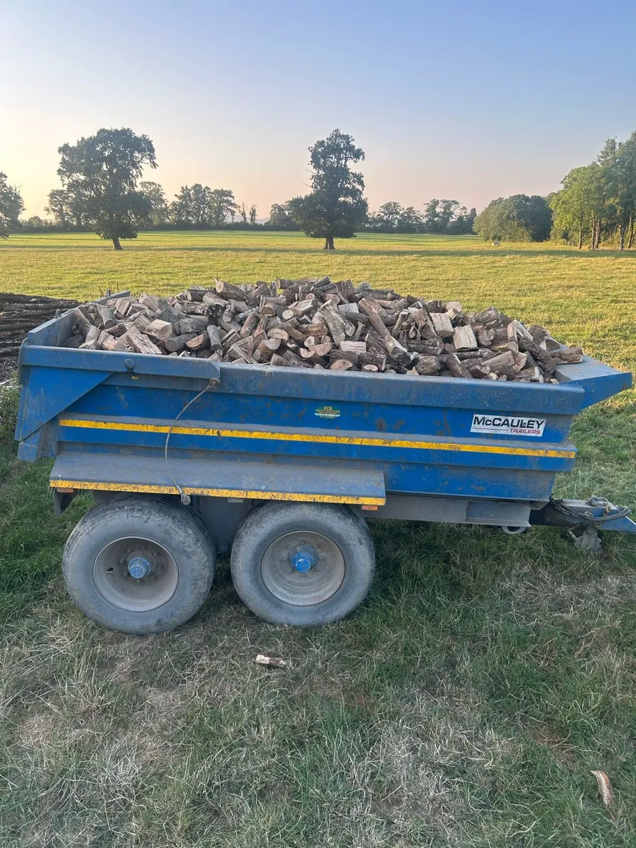 Firewood (hardwood) - Image 2
