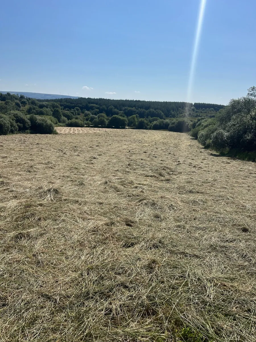 Bedding - Image 1