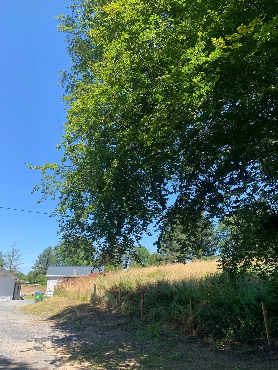3-4 acres of meadow. - Image 2