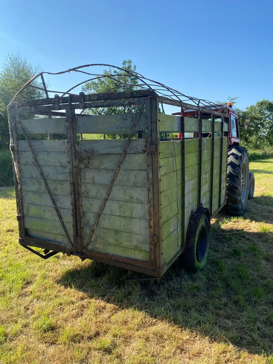 Cattle trailer 10*6 - Image 2