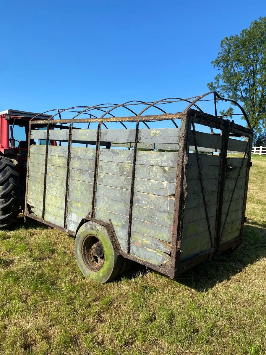 Cattle trailer 10*6 - Image 3