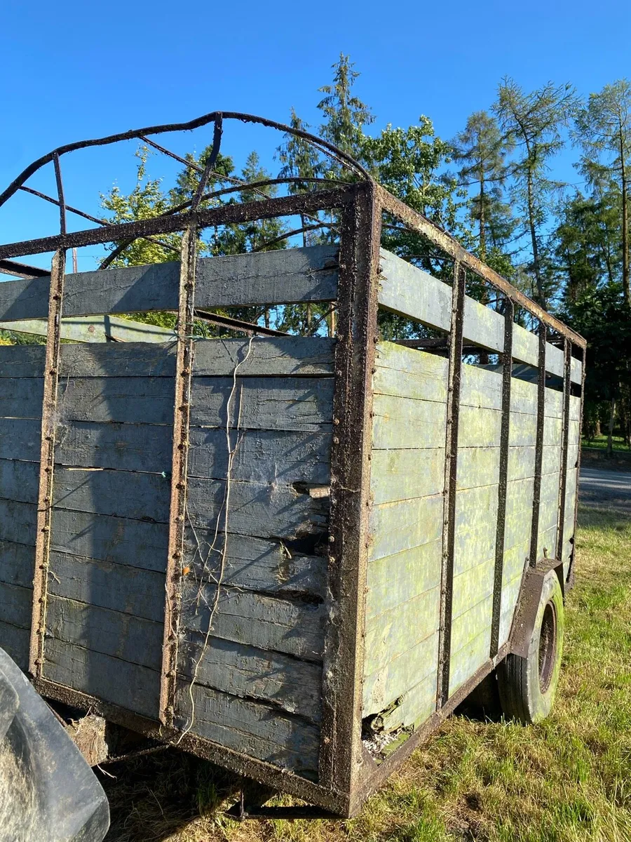 Cattle trailer 10*6 - Image 4