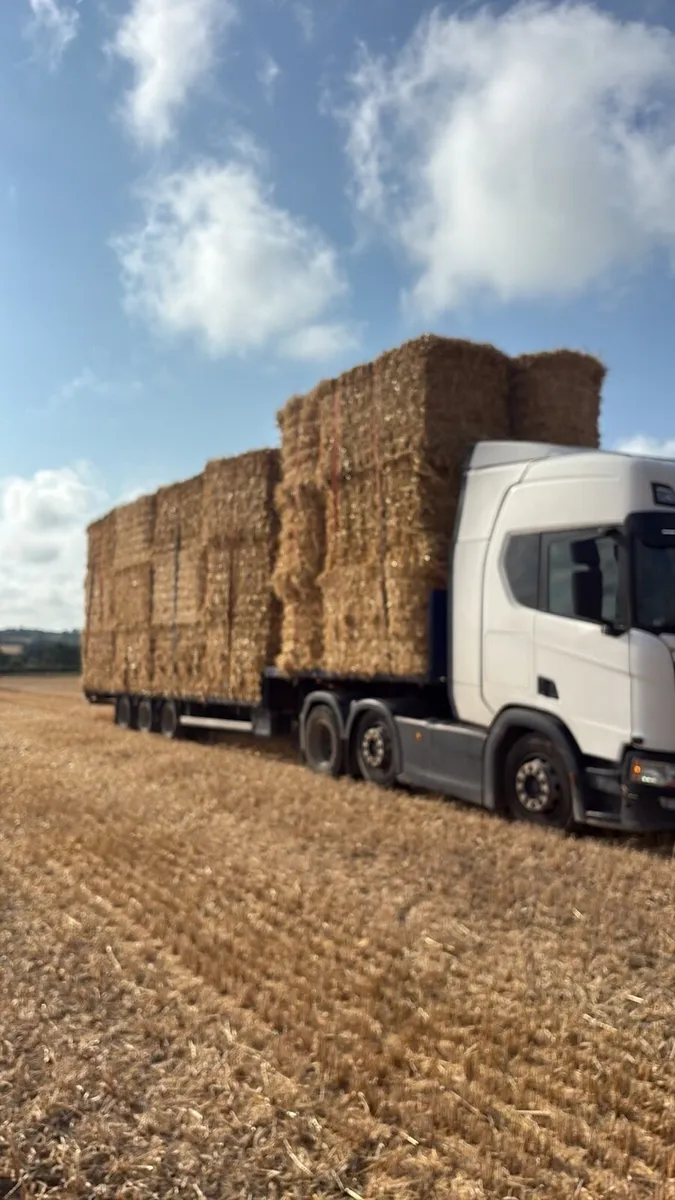 Truck driver needed - Image 2