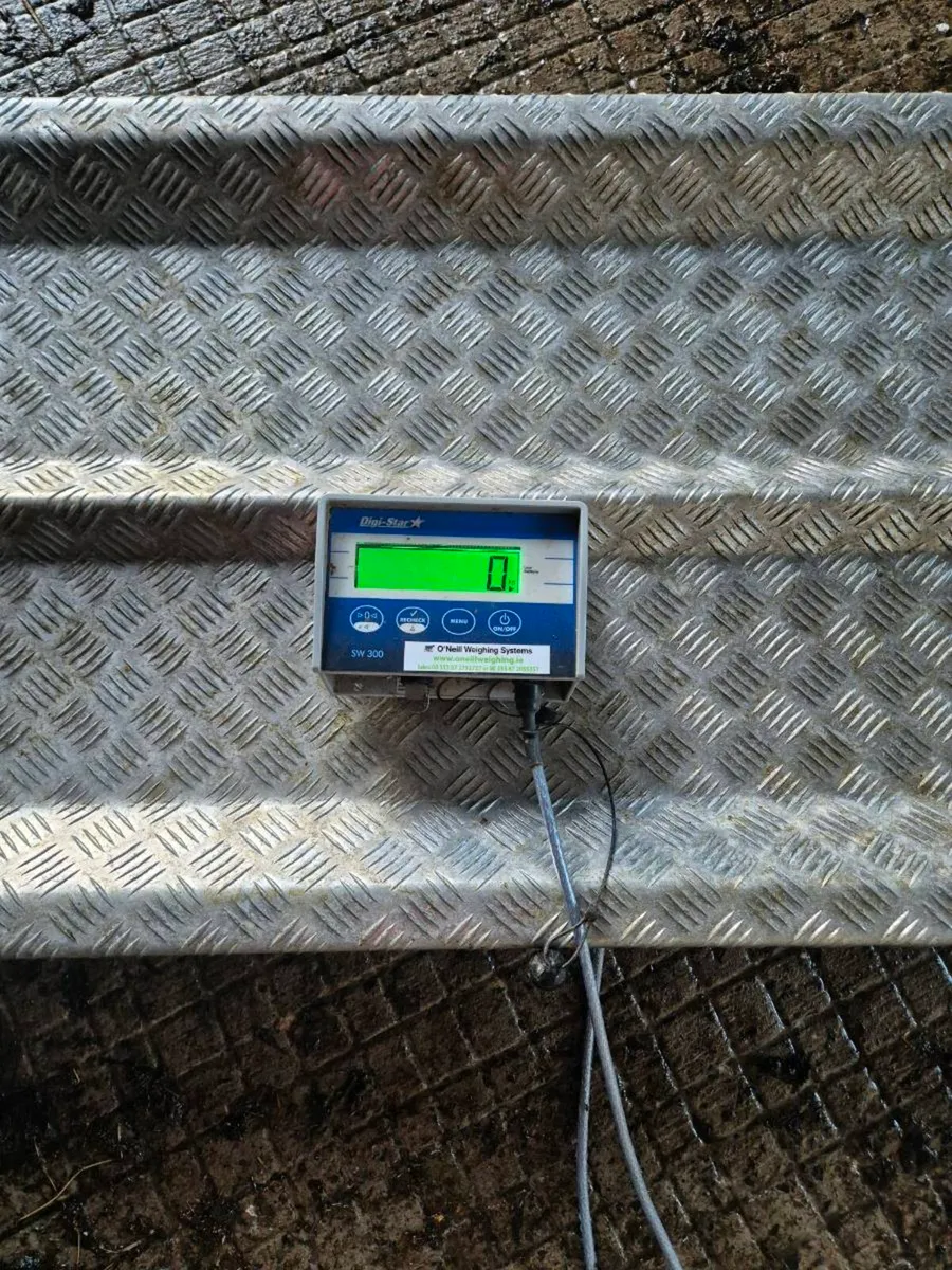 Weighing Scales - Image 1