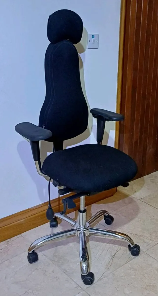 Corrigo Diffusion Ergonomic Office Chair - Image 1