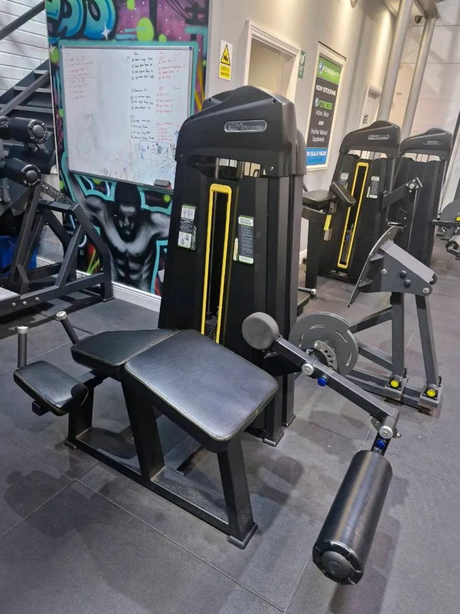 Commercial gym equipment - Image 4