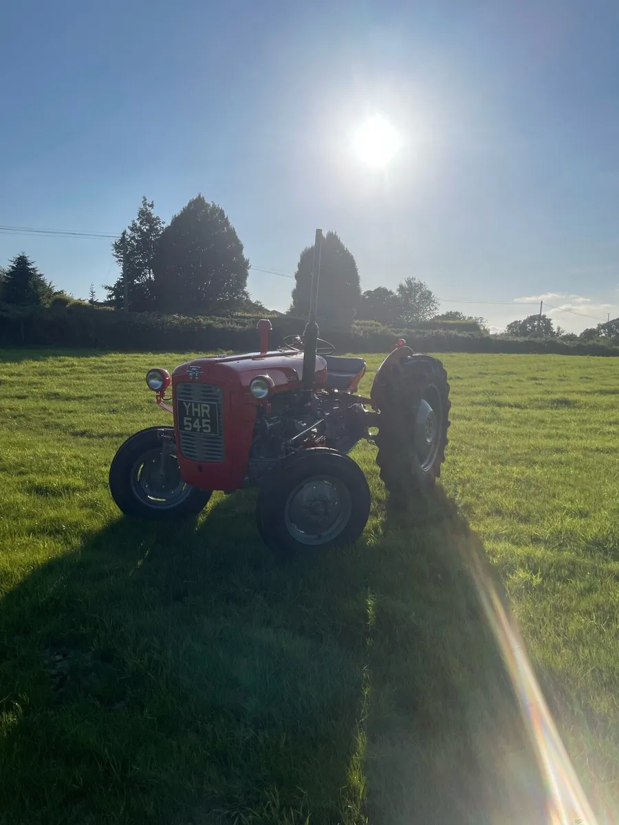 Massey Ferguson 35 *live drive* - Image 2