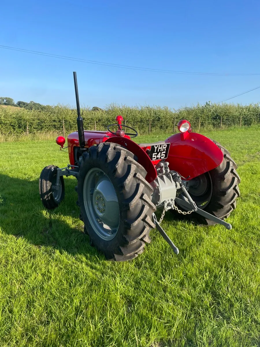 Massey Ferguson 35 *live drive* - Image 4