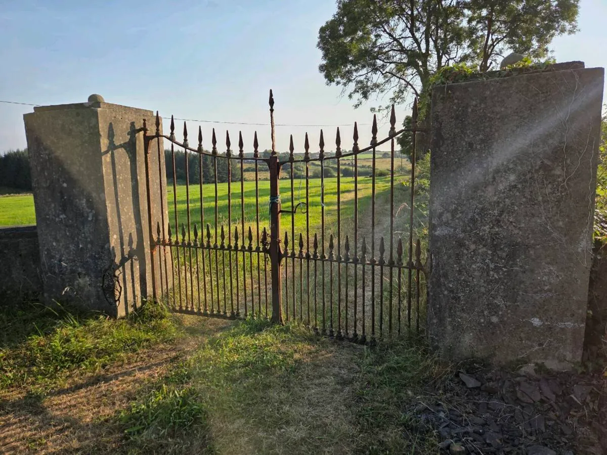 Iron gates - Image 2
