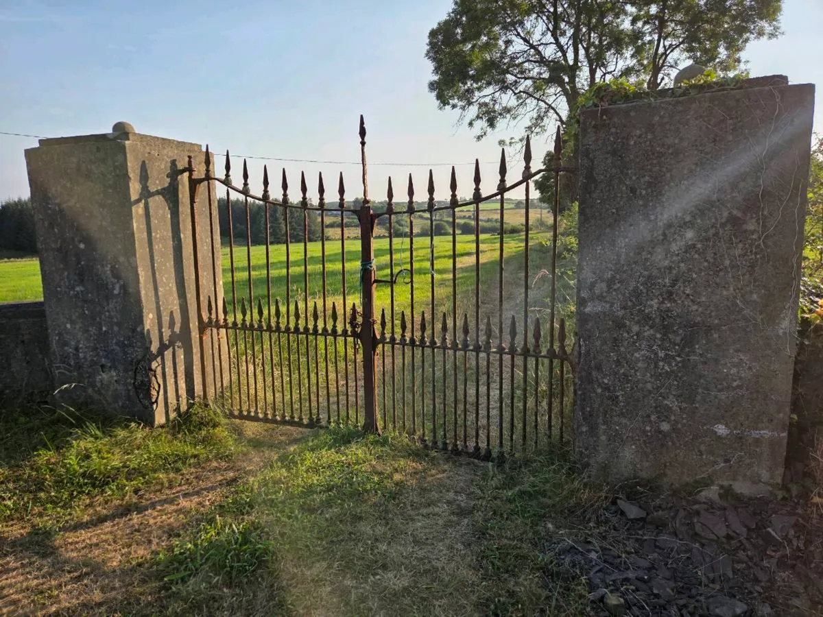 Iron gates - Image 1