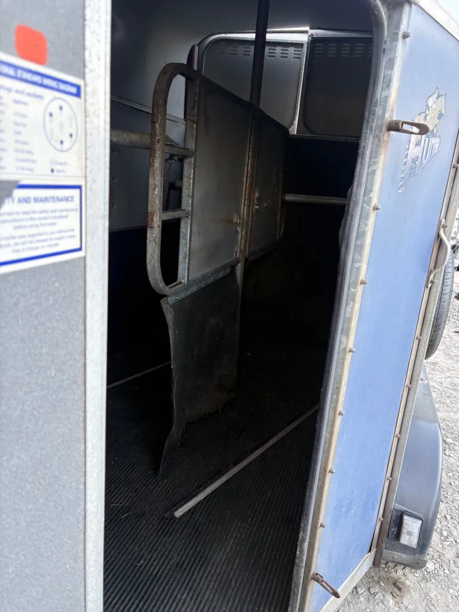 Ifor Williams 505 horse box - Image 3