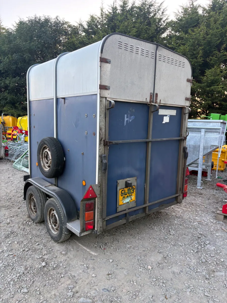 Ifor Williams 505 horse box - Image 2