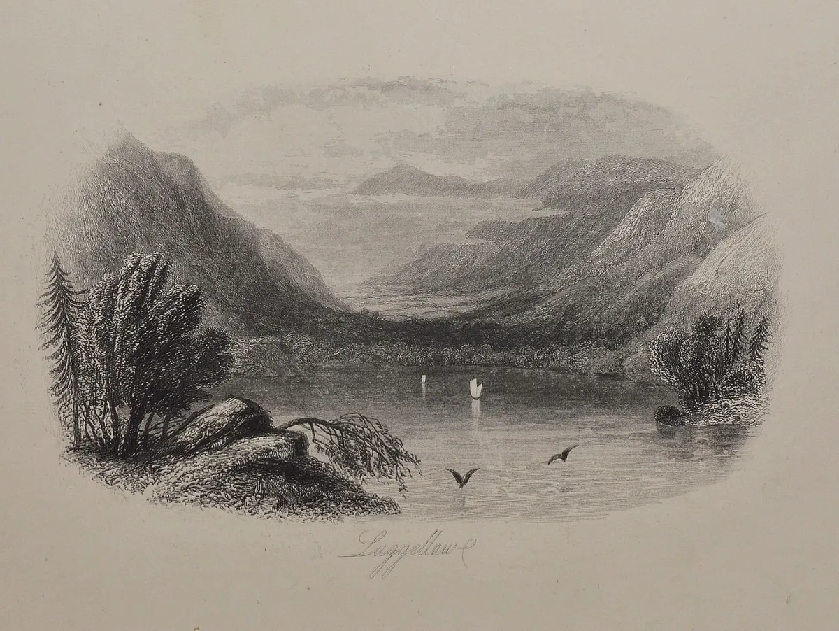 Luggala, County Wicklow 1863 Antique Print - Image 1