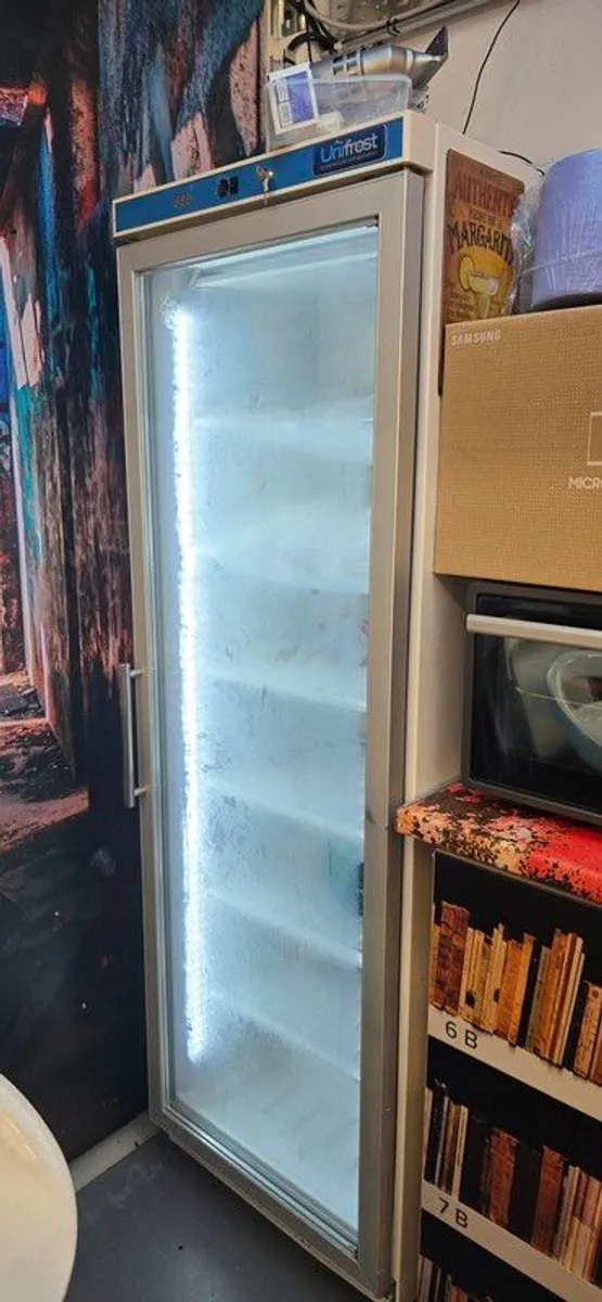 Tall Commercial standing freezer - Image 1