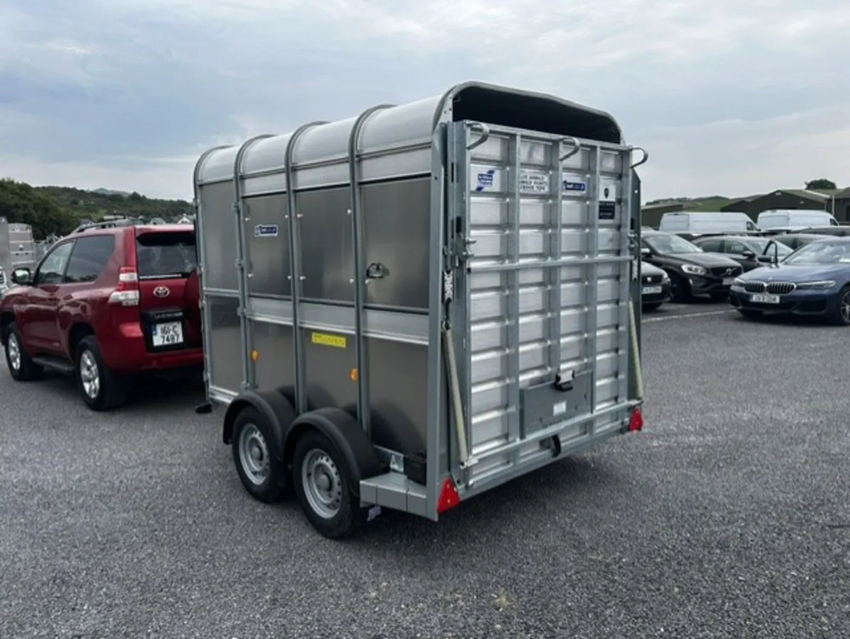 Ifor Williams Trailer 8x5 - Image 3
