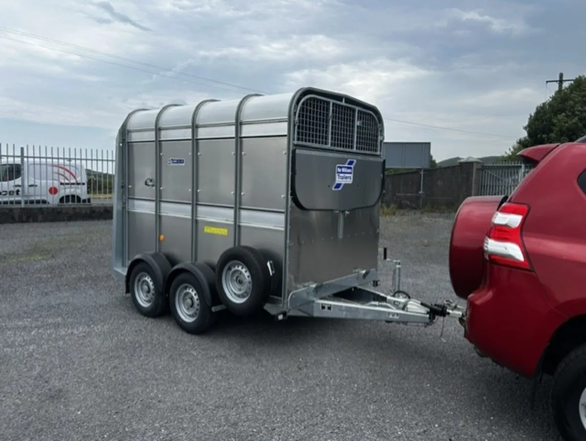 Ifor Williams Trailer 8x5 - Image 1