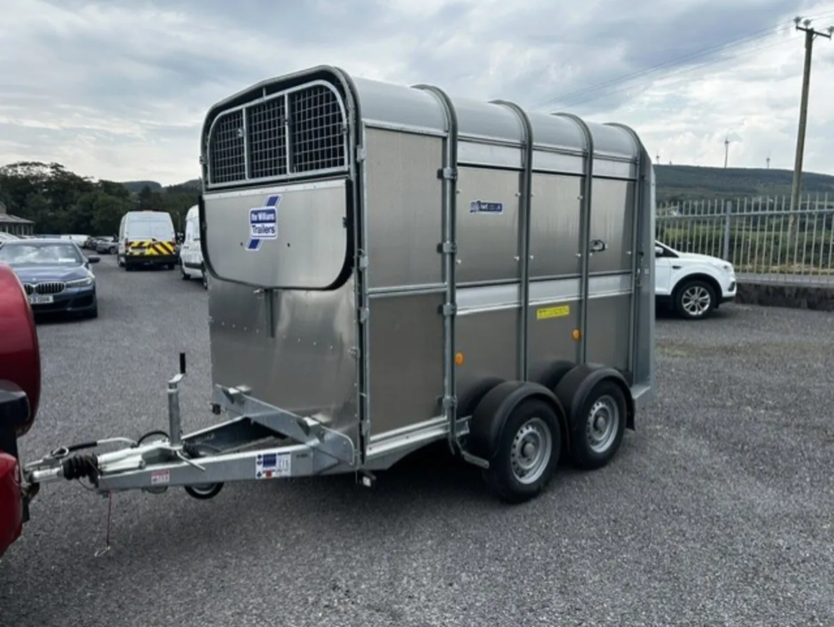 Ifor Williams Trailer 8x5 - Image 2