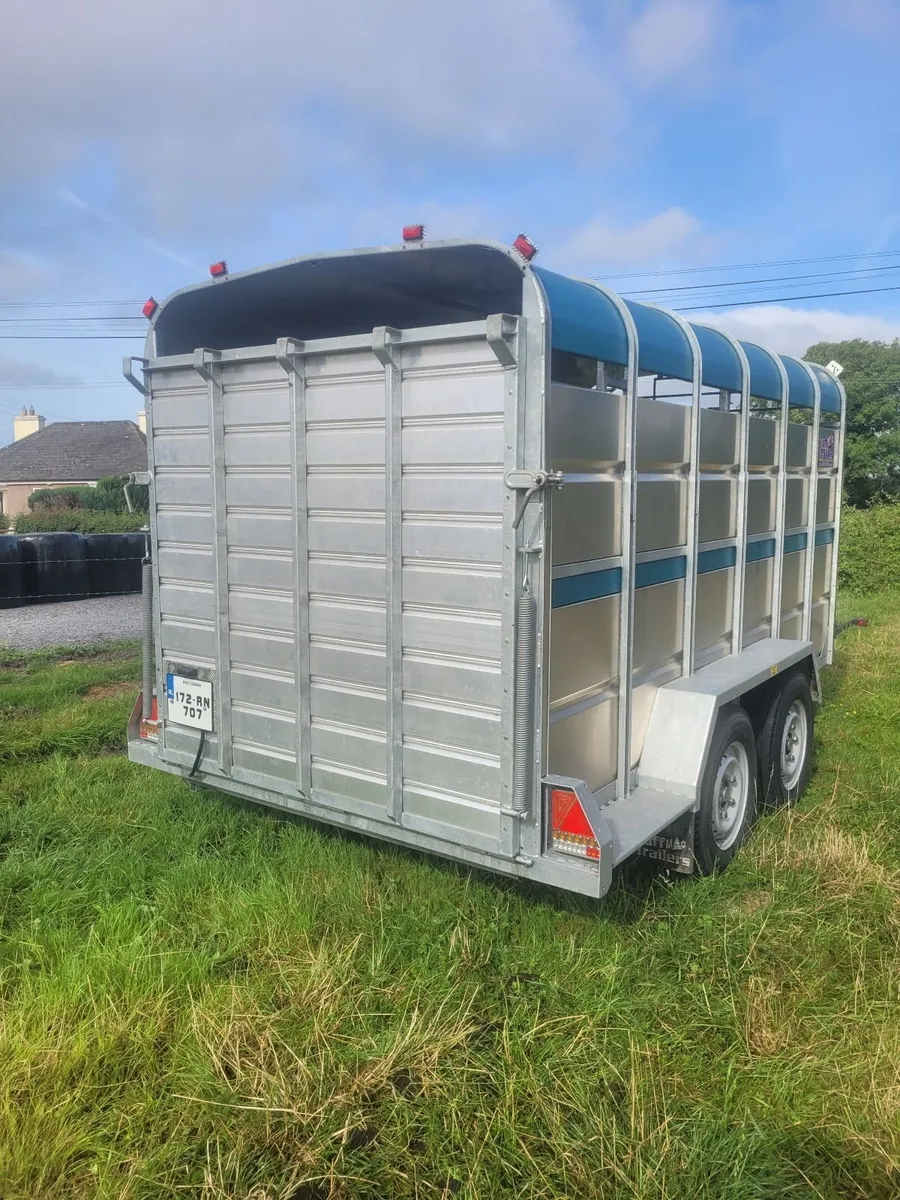 Tuffmac livestock trailer 12x6 - Image 3