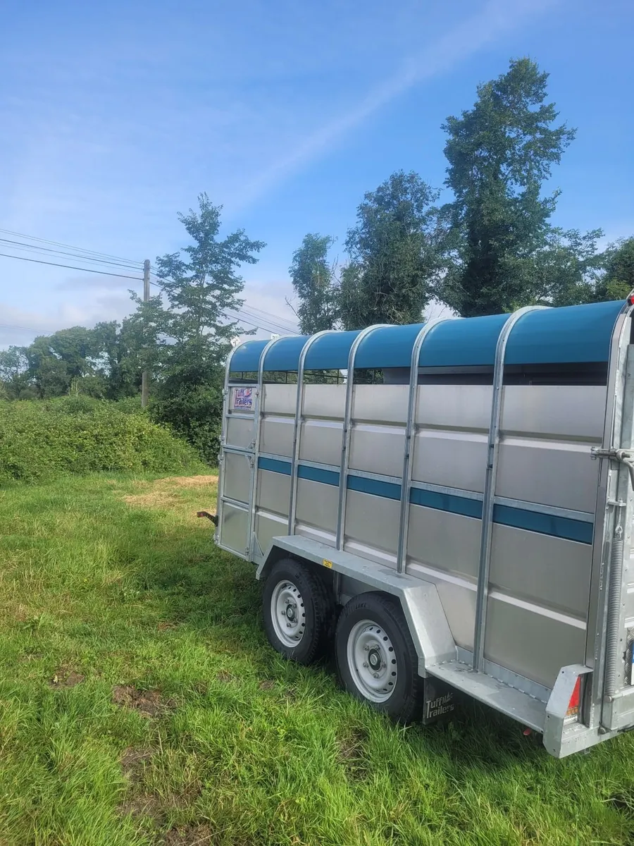 Tuffmac livestock trailer 12x6 - Image 4