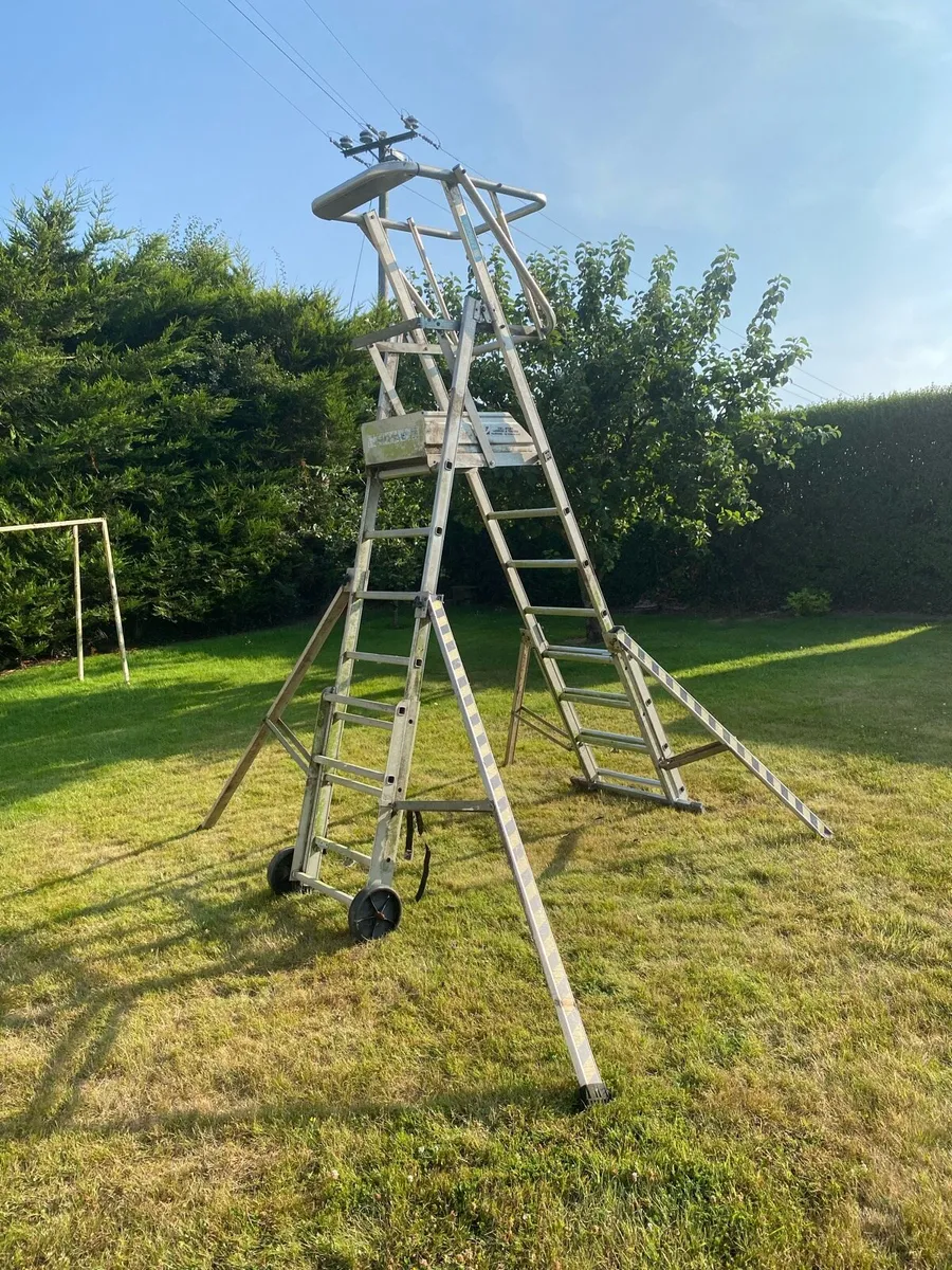Podium ladder - Image 1