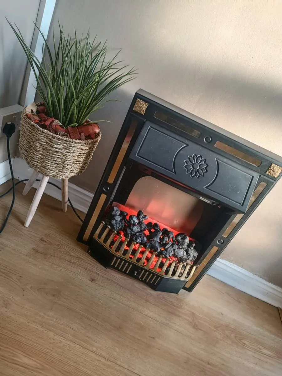 Electric fire with 3 settings