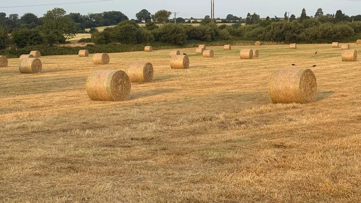 Hay bales