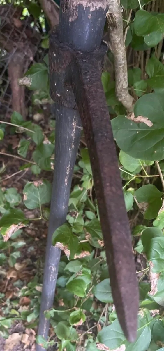 Heavy vintage or antique pick axe - Image 4