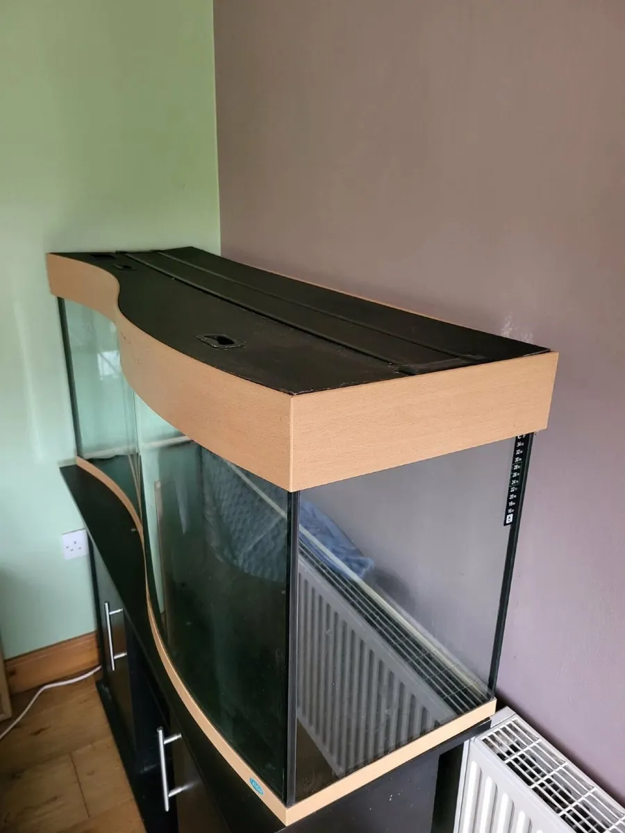 250L Aquarium Complete Setup + Fluval 306 - Image 2