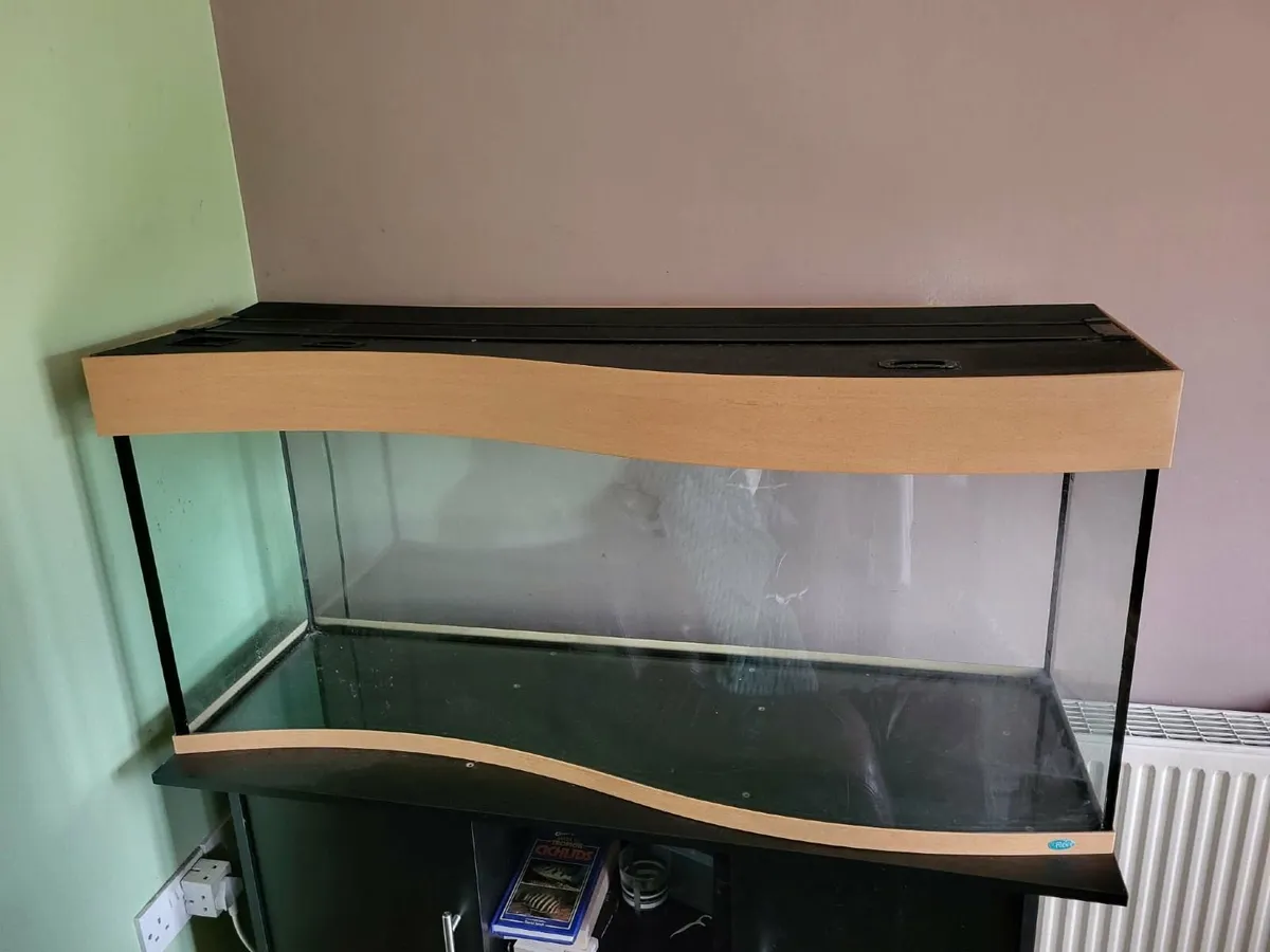 250L Aquarium Complete Setup + Fluval 306 - Image 3