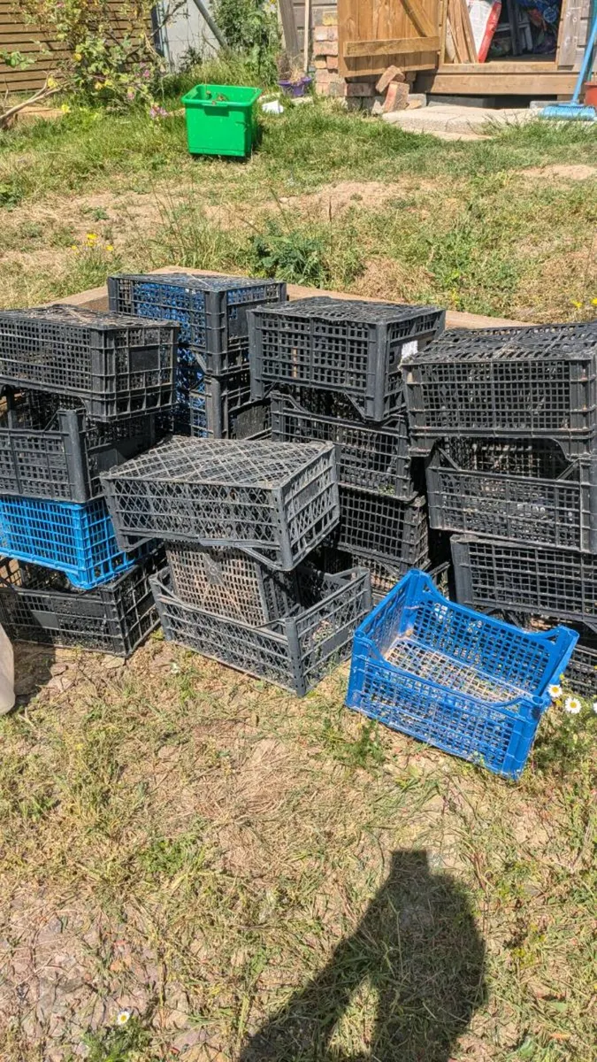 Light plastic crates