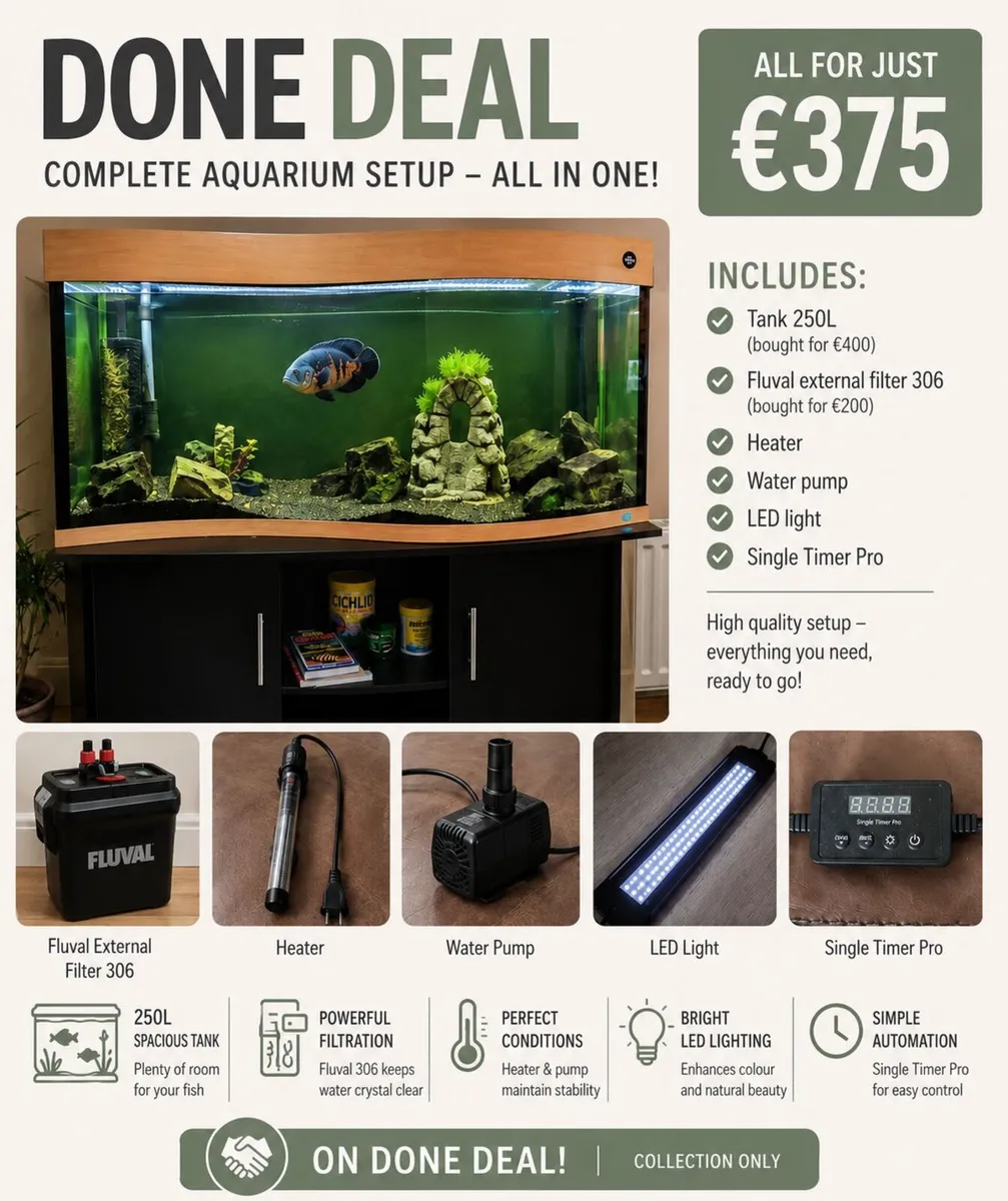 250L Aquarium Complete Setup + Fluval 306 - Image 1