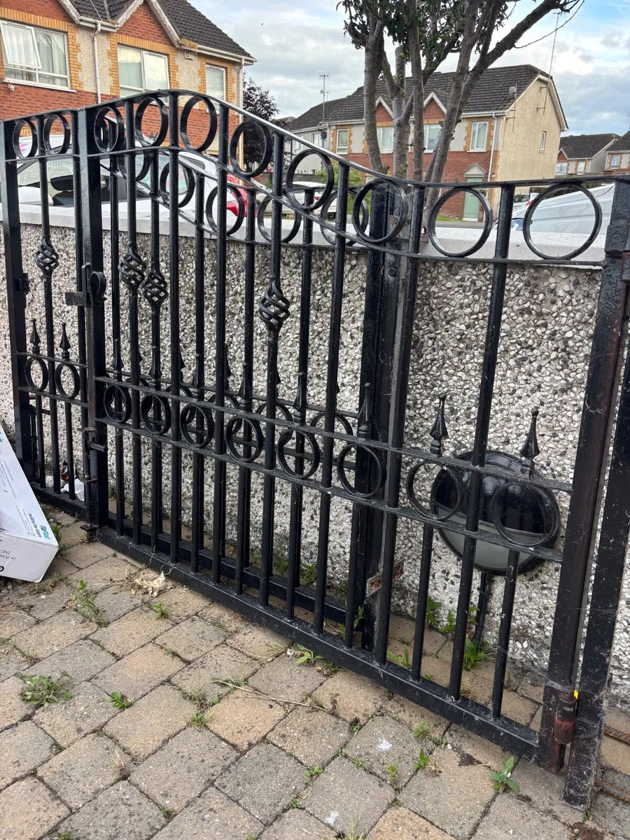 Black steel gates - Image 3