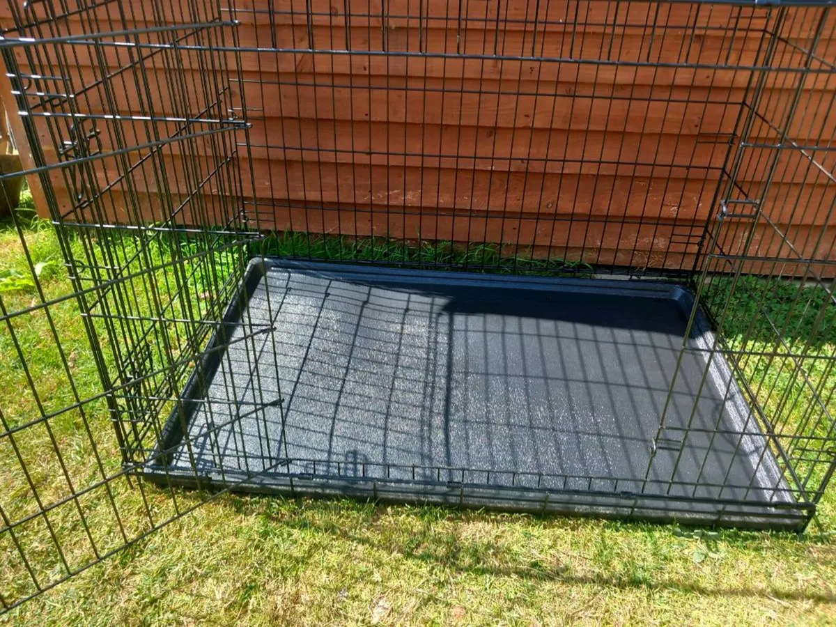 Extra large dog travel crate. - Image 4