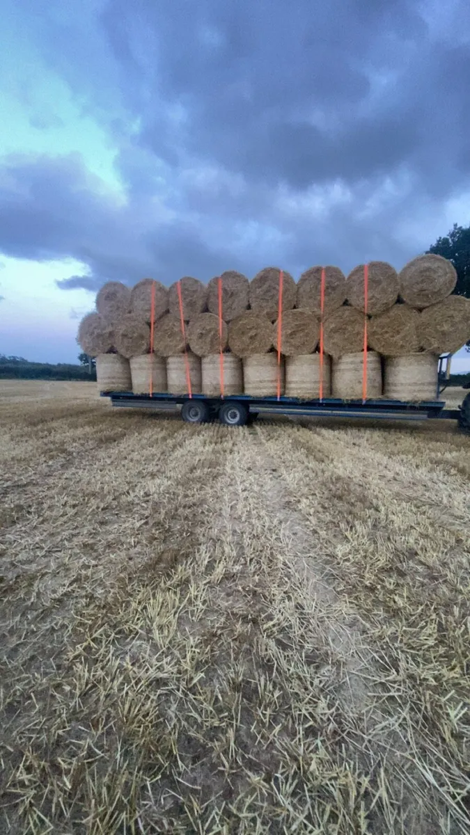 Straw - Image 3