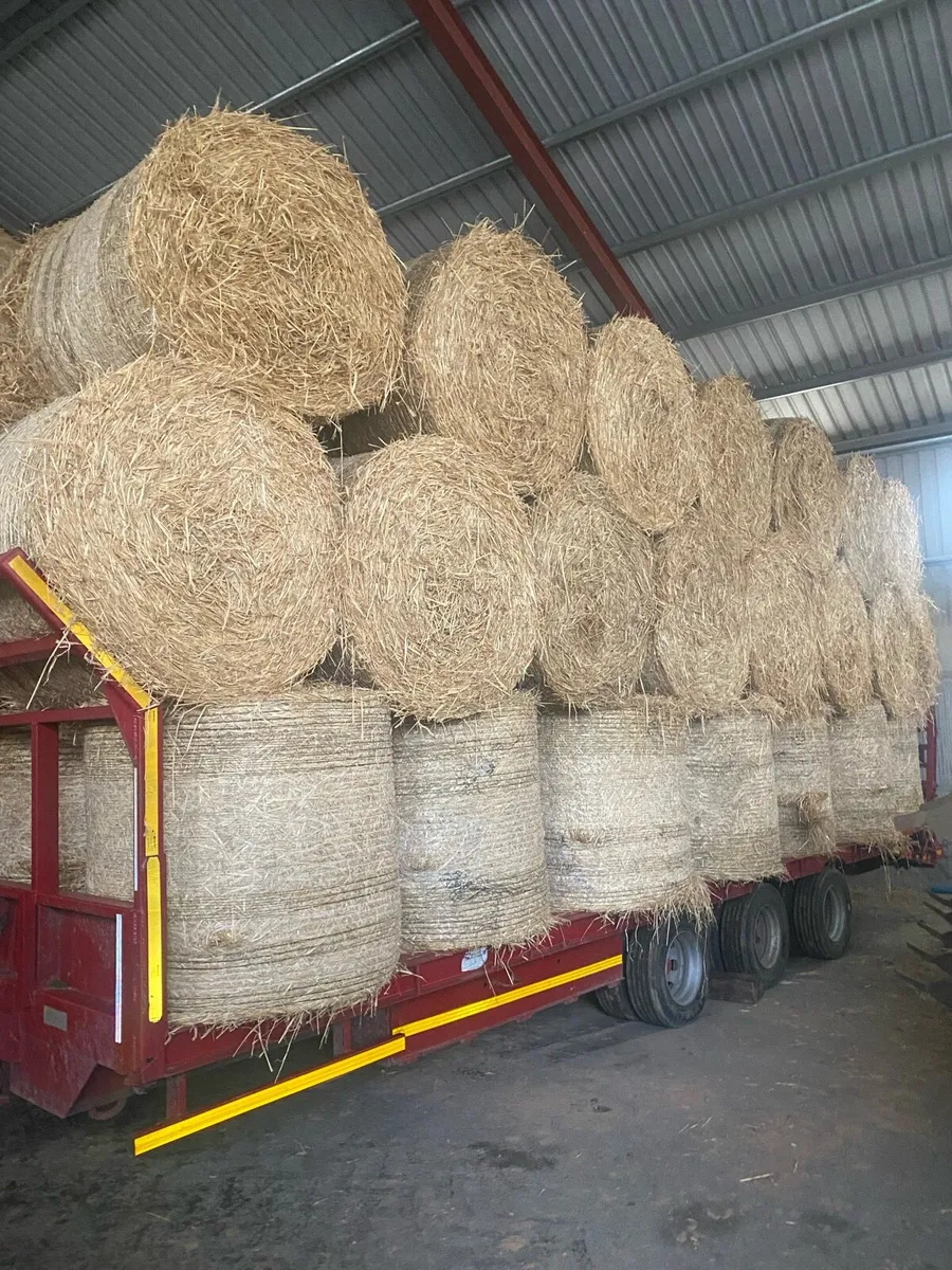 Straw - Image 4