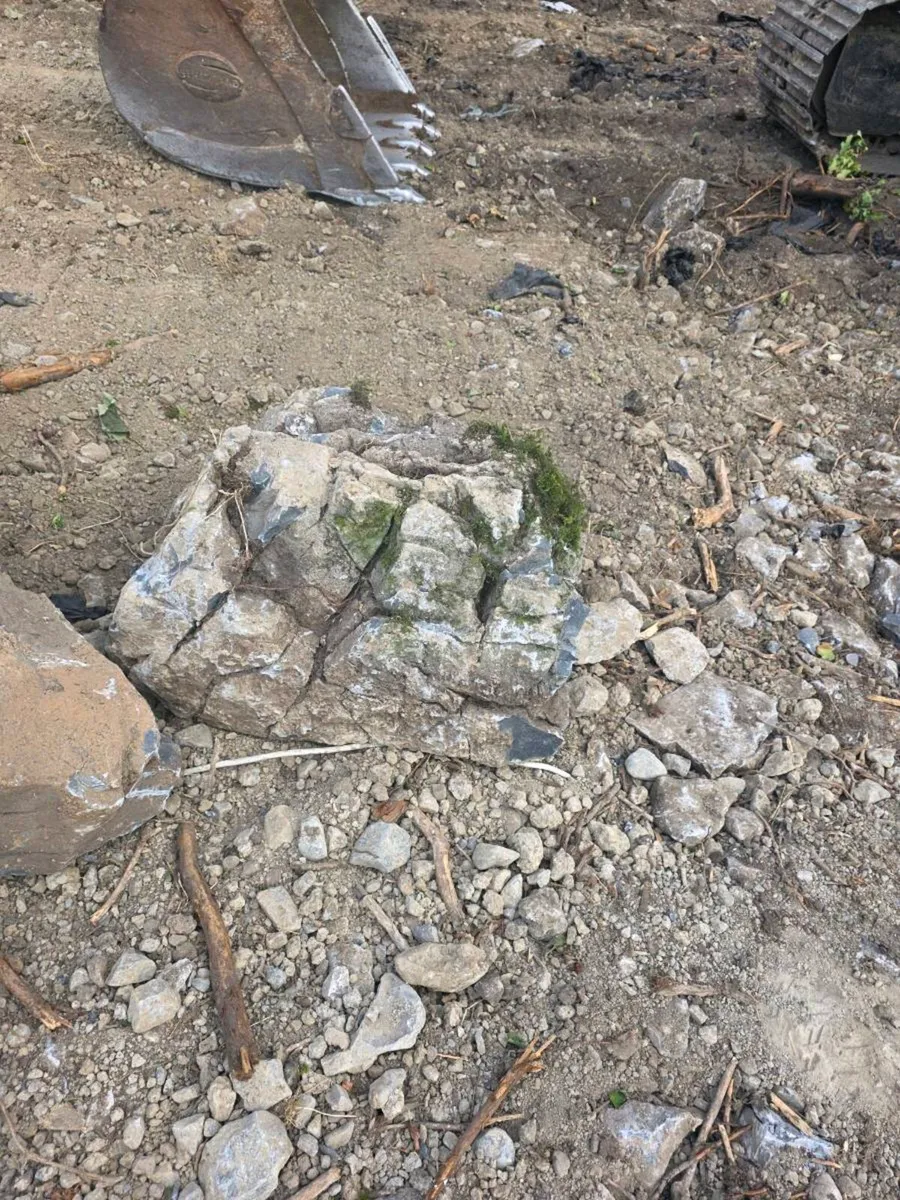 Weather limestone feature rock - Image 3