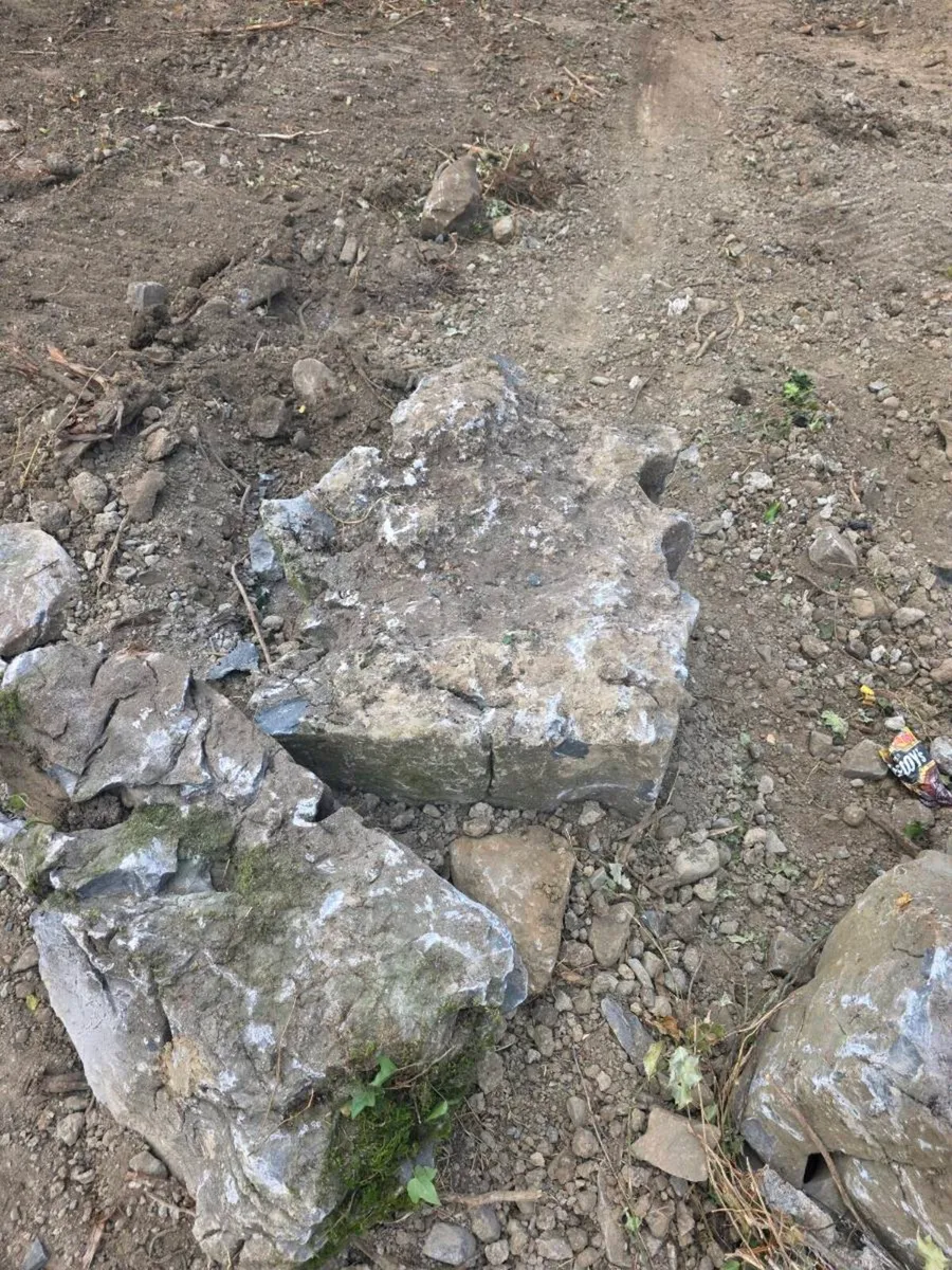 Weather limestone feature rock - Image 1