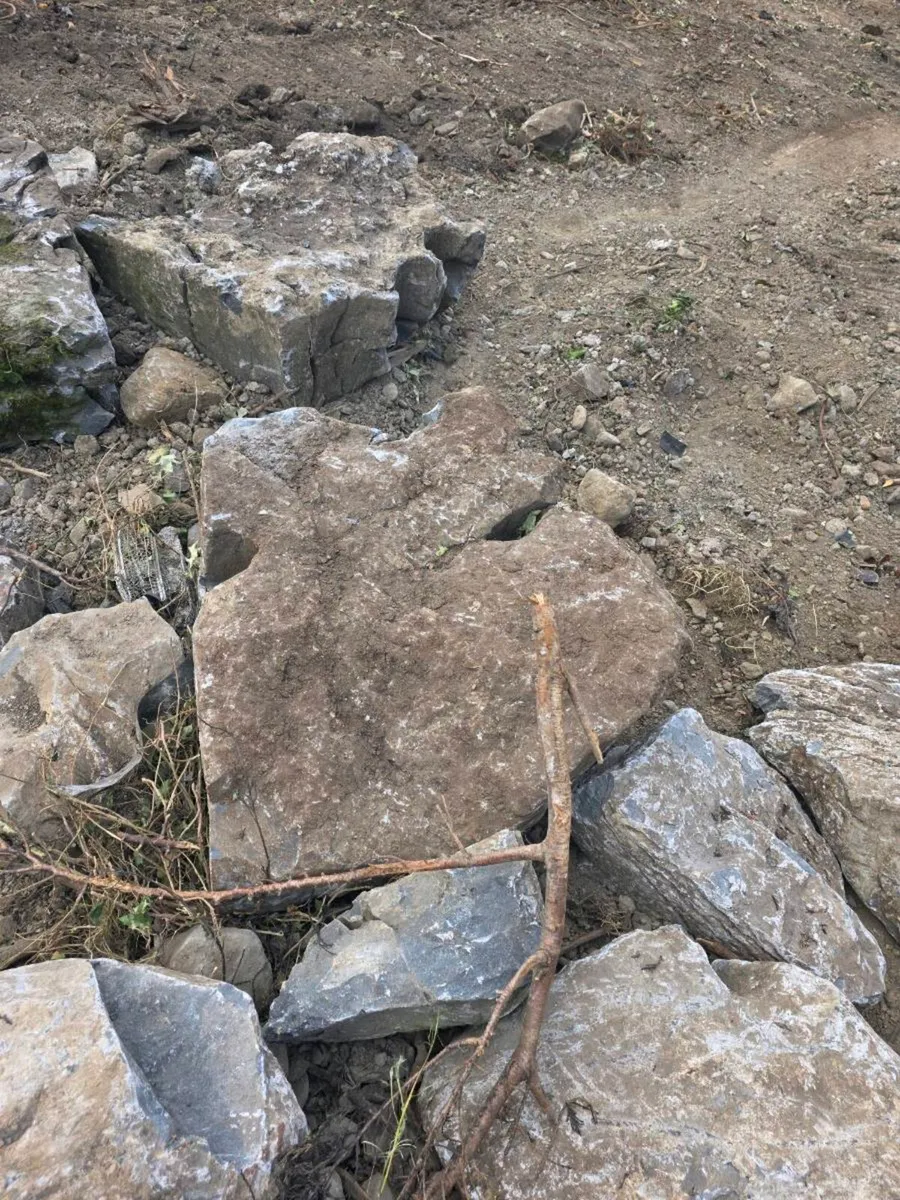 Weather limestone feature rock - Image 2