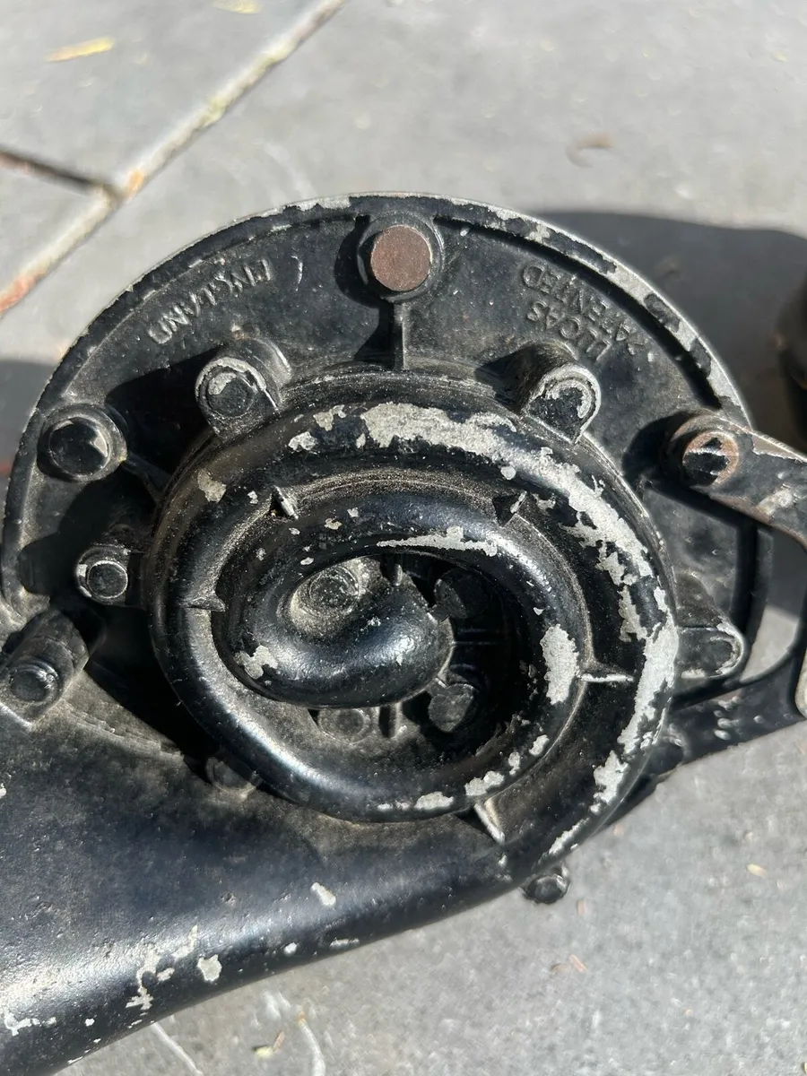 Original Lucas Twin Horns - Image 2