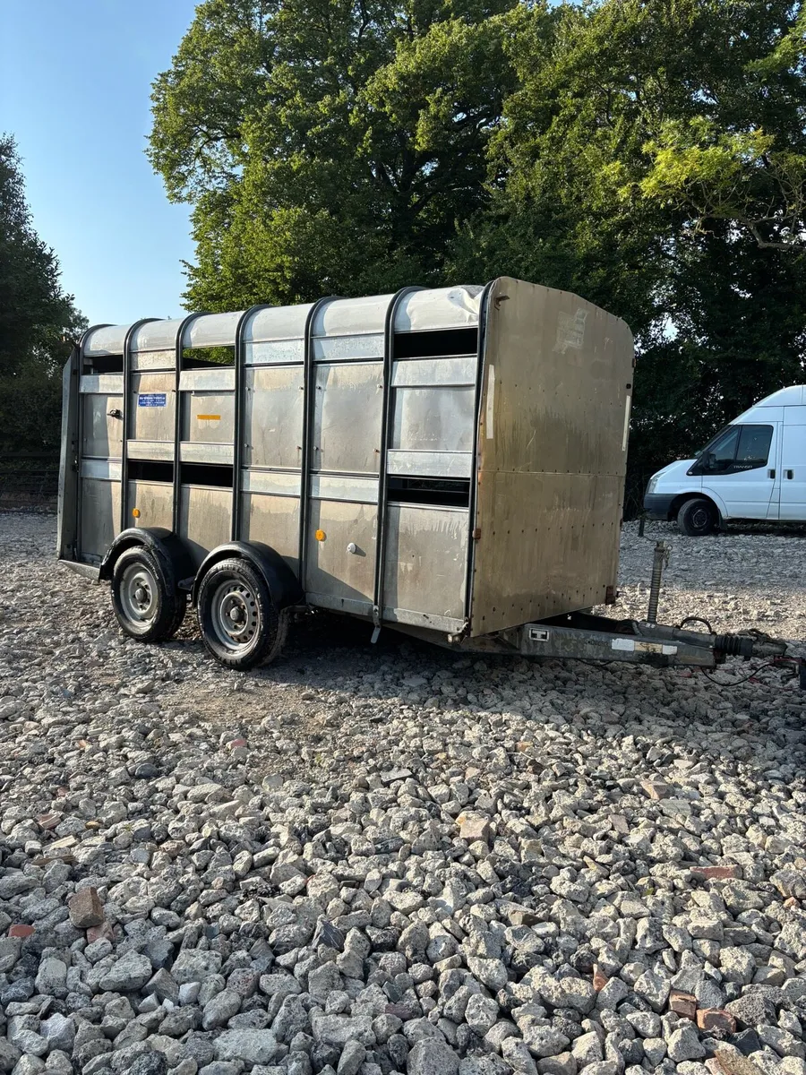 Ifor Williams 12x5’10 Cattle Trailer - Image 2