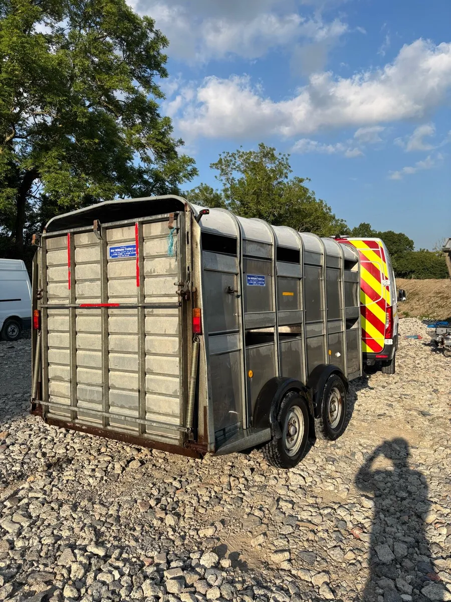 Ifor Williams 12x5’10 Cattle Trailer - Image 4