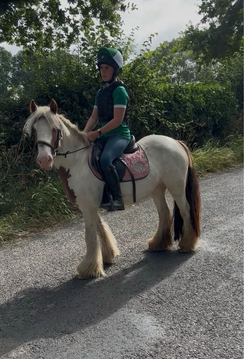 QUIET & KIND  12h PET PONY - Image 2