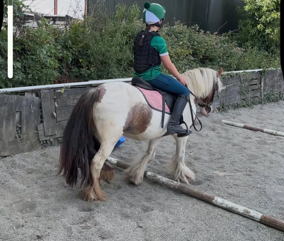 QUIET & KIND  12h PET PONY - Image 3