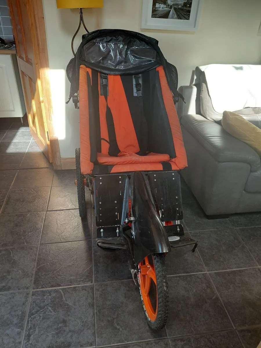 Special needs buggy - Image 1